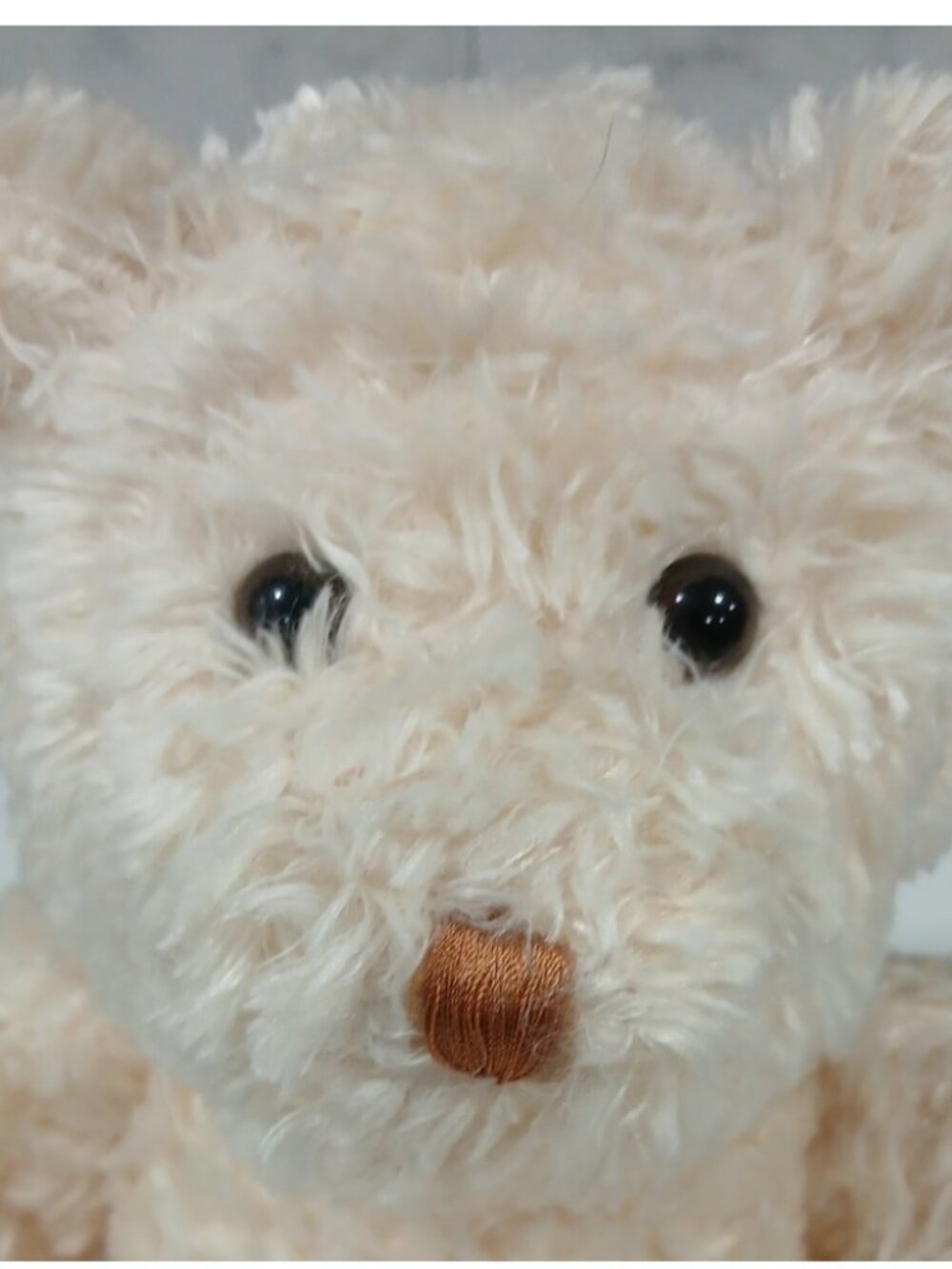 DanDee Soft, Clean Plush Teddy Bear 14 in. Not Used ,Just On Display, Like New
